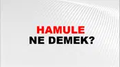 Hamule
