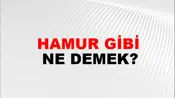 Hamur Gibi