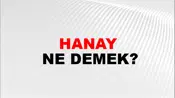 Hanay