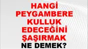 Hangi Peygambere Kulluk Edeceğini Şaşırmak