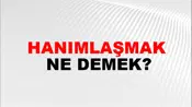 Hanımlaşmak