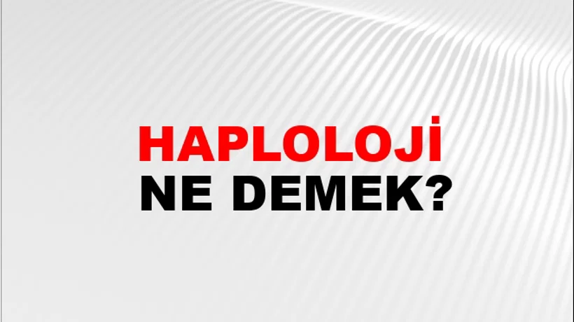 Haploloji Haploloji