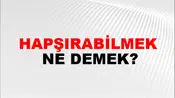 Hapşırabilmek