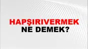 Hapşırıvermek