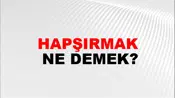 Hapşırmak