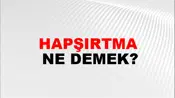 Hapşırtma