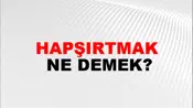 Hapşırtmak