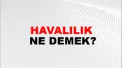 Havalılık