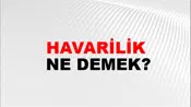 Havarilik