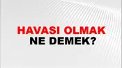 Havası Olmak