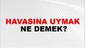 Havasına Uymak