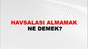Havsalası Almamak