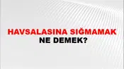 Havsalasına Sığmamak