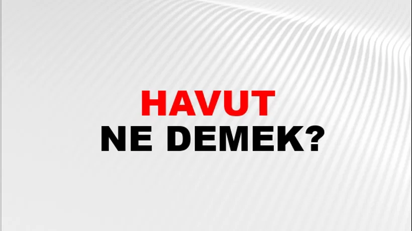 Havut Havut