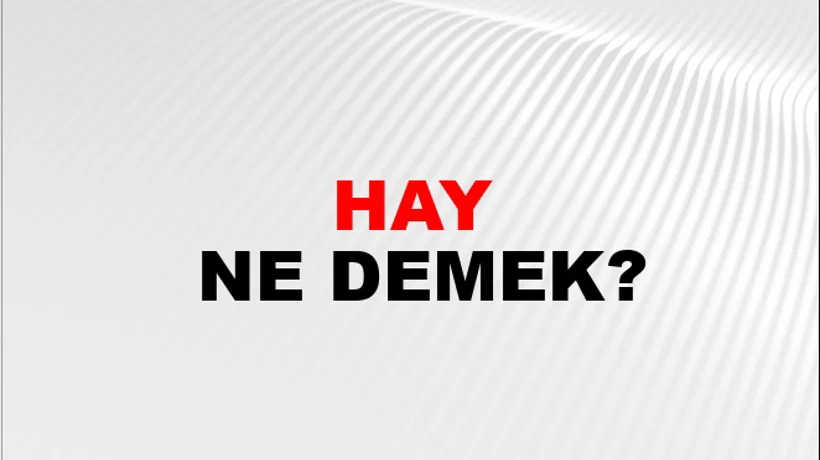 Hay Hay