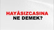 Hayâsızcasına