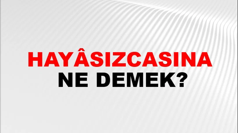 Hayâsızcasına Hayâsızcasına