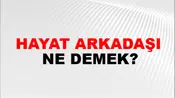 Hayat Arkadaşı