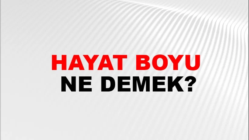 Hayat Boyu Hayat Boyu
