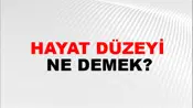 Hayat Düzeyi