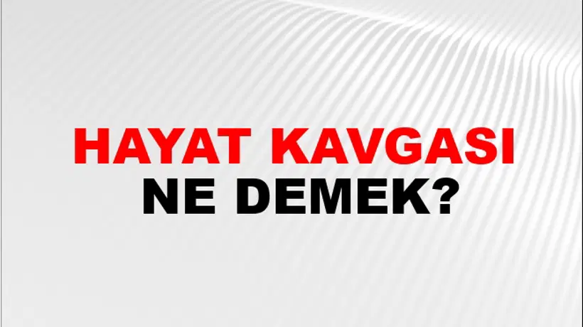 Hayat Kavgası Hayat Kavgası