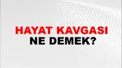 Hayat Kavgası