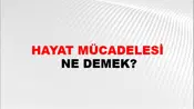 Hayat Mücadelesi