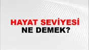 Hayat Seviyesi