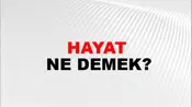 Hayat