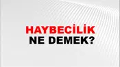 Haybecilik