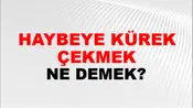 Haybeye Kürek Çekmek