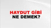 Haydut Gibi