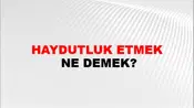 Haydutluk Etmek