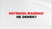 Haymana Mandası
