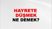 Hayrete (Veya hayretlere) düşmek
