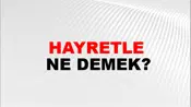 Hayretle