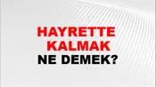 Hayrette (Veya hayretler içinde) kalmak