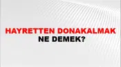 Hayretten Donakalmak