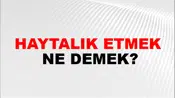 Haytalık Etmek