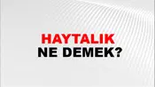 Haytalık