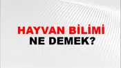 Hayvan Bilimi