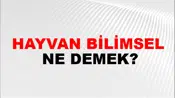 Hayvan Bilimsel