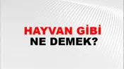Hayvan Gibi