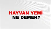 Hayvan Yemi