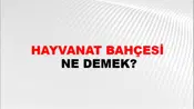 Hayvanat Bahçesi