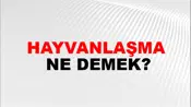 Hayvanlaşma