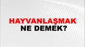 Hayvanlaşmak