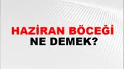 Haziran Böceği