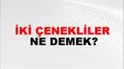 İki Çenekliler