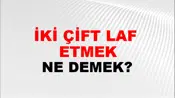 İki Çift Laf (Veya lakırtı veya söz) etmek